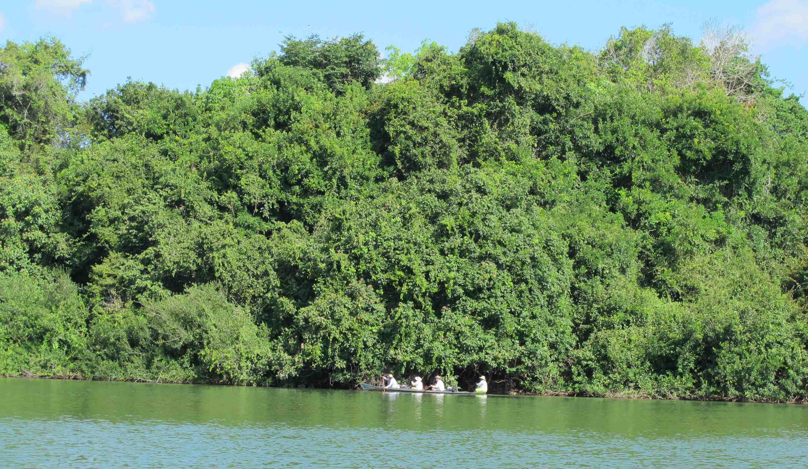 Canoada ByeBye Xingu: descemos 110km o rio para ver o impacto de Belo Monte 